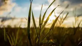 Zachód słońca nad jeziorem Ławki, wrzesień 2020 r. - zdjęcie 13