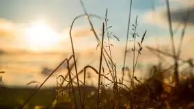 Zachód słońca nad jeziorem Ławki, wrzesień 2020 r. - zdjęcie 3