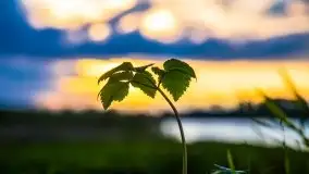 Zachód słońca nad jeziorem Ławki, wrzesień 2020 r. - zdjęcie 12