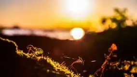 Zachód słońca nad jeziorem Dargin - zdjęcie 8