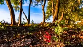 Zachód słońca nad jeziorem Dargin - zdjęcie 15