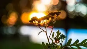 Zachód słońca nad jeziorem Kisajno - zdjęcie 29