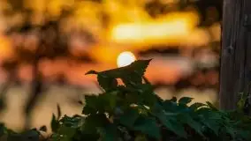 Wrześniowy zachód słońca w porcie Nowy Harsz, jez. Dargin - zdjęcie 5