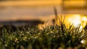 Wschód słońca nad jeziorem Pozezdrze - zdjęcie 36