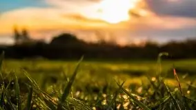 Wschód słońca nad jeziorem Pozezdrze - zdjęcie 41