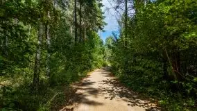 Mazurski las... i grzyby, początek września 2020 r. - zdjęcie 27