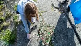 Sprzątanie Świata (Mazur) przez Rotarack Giżycko i Giżycką Grupę Regatową - zdjęcie 7