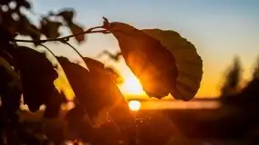 Zachód słońca nad jeziorem Niegocin - zdjęcie 23