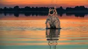 Zachód słońca nad jeziorem Tajty, wrzesień 2020 r. - zdjęcie 35