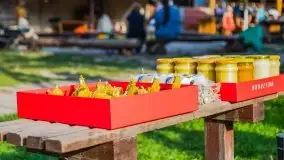 Zakończenie sezonu 2020 w Tle Dla Mew - zdjęcie 71