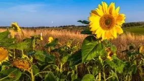 Październikowy wschód słońca nad jeziorem Kruklin - zdjęcie 32