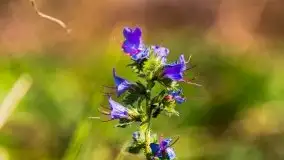 W poszukiwaniu jesieni na Mazurach - zdjęcie 18