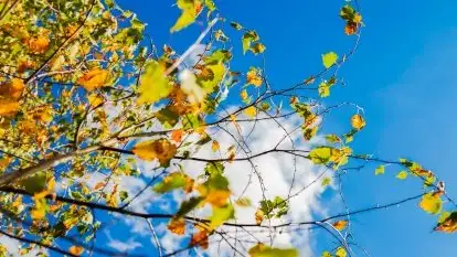 W poszukiwaniu jesieni na Mazurach