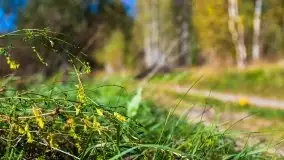 W poszukiwaniu jesieni na Mazurach - zdjęcie 13