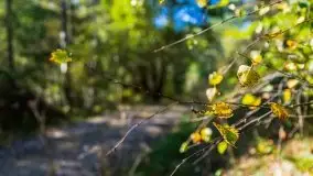 W poszukiwaniu jesieni na Mazurach - zdjęcie 6