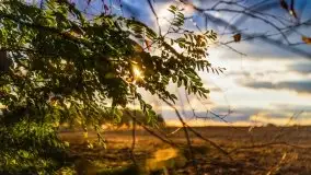 W poszukiwaniu jesieni na Mazurach - zdjęcie 57