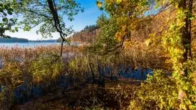 Piękna polska, mazurska złota jesień... rok temu - zdjęcie 1