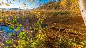 Piękna polska, mazurska złota jesień... rok temu - zdjęcie 13