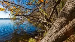 Piękna polska, mazurska złota jesień... rok temu - zdjęcie 9