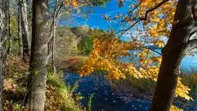 Piękna polska, mazurska złota jesień... rok temu - zdjęcie 15