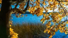 Piękna polska, mazurska złota jesień... rok temu - zdjęcie 8