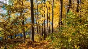 Piękna polska, mazurska złota jesień... rok temu - zdjęcie 28