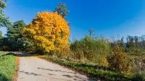 Jesień na mazurskich bezdrożach, 2019 - zdjęcie 5