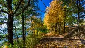 Jesień na mazurskich bezdrożach, 2019 - zdjęcie 13