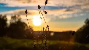 Zachód słońca widziany w zaroślach nad Niegocinem - zdjęcie 10