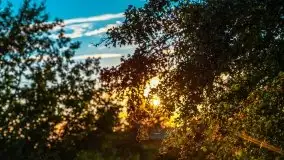 Zachód słońca widziany w zaroślach nad Niegocinem - zdjęcie 13