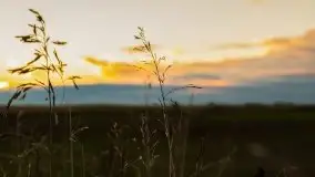 Wieczór i zachód słońca z mazurskiej drogi - zdjęcie 5