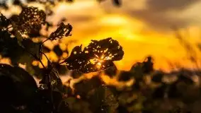 Wschód słońca, okolice i jezioro Kisajno, październik 2020 - zdjęcie 11