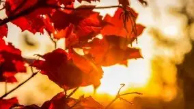 Wschód słońca, okolice i jezioro Kisajno, październik 2020 - zdjęcie 2