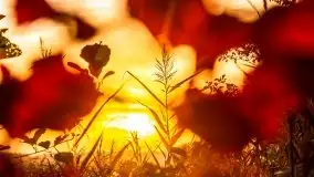 Wschód słońca, okolice i jezioro Kisajno, październik 2020 - zdjęcie 19