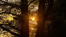 Wschód słońca, okolice i jezioro Kisajno, październik 2020 - zdjęcie 25