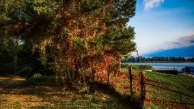 Jesień 2020 na zdjęciach Stanisława Sielewicza - zdjęcie 13