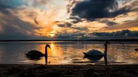 Jesień 2020 na zdjęciach Stanisława Sielewicza - zdjęcie 4