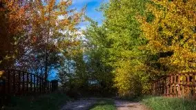 Jesień 2020 na zdjęciach Stanisława Sielewicza - zdjęcie 17