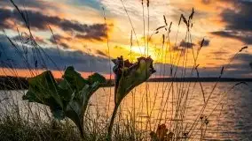 Zachód słońca nad jeziorem Kisajno - zdjęcie 16