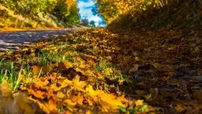 Mazurska jesień w okolicy Pieczarek i Przerwanek - zdjęcie 6