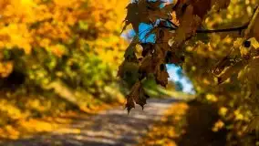 Mazurska jesień w okolicy Pieczarek i Przerwanek - zdjęcie 20