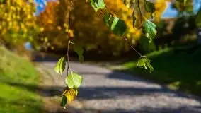 Mazurska jesień w okolicy Pieczarek i Przerwanek - zdjęcie 13