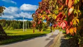 Mazurska jesień w okolicy Pieczarek i Przerwanek - zdjęcie 4