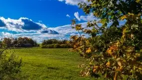 Mazurska jesień w okolicy Pieczarek i Przerwanek - zdjęcie 11