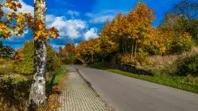 Mazurska jesień w okolicy Pieczarek i Przerwanek - zdjęcie 9