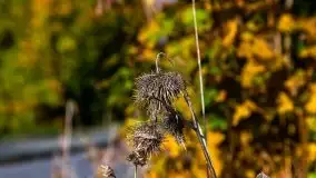 Mazurska jesień w okolicy Pieczarek i Przerwanek - zdjęcie 31