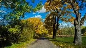 Mazurska jesień w okolicy Pieczarek i Przerwanek - zdjęcie 30