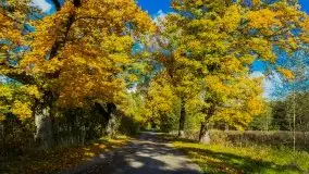 Mazurska jesień w okolicy Pieczarek i Przerwanek - zdjęcie 33