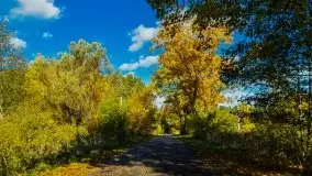 Mazurska jesień w okolicy Pieczarek i Przerwanek - zdjęcie 42