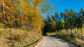 Jesienny, Mazurski las w okolicach Pieczarek - zdjęcie 10